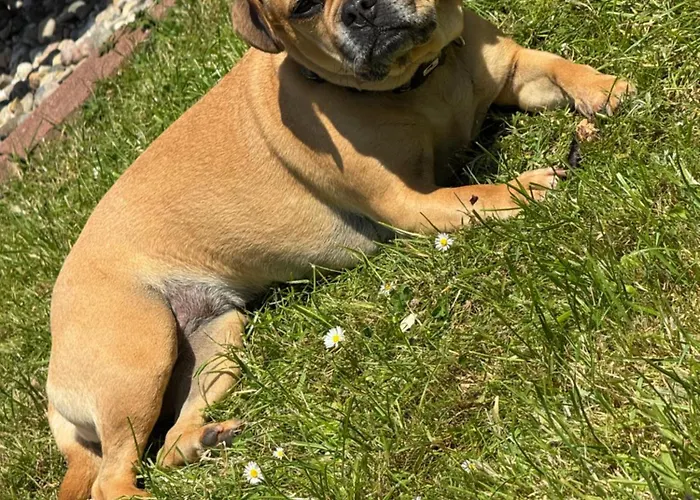 Apartamento Elli's Stuuv